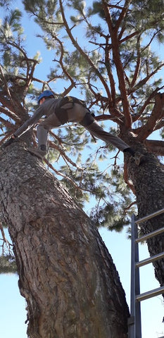 Alcuni dei nostri lavori gallery image