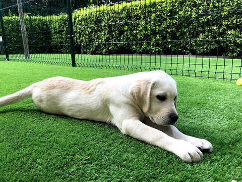 Alcuni dei nostri lavori gallery image