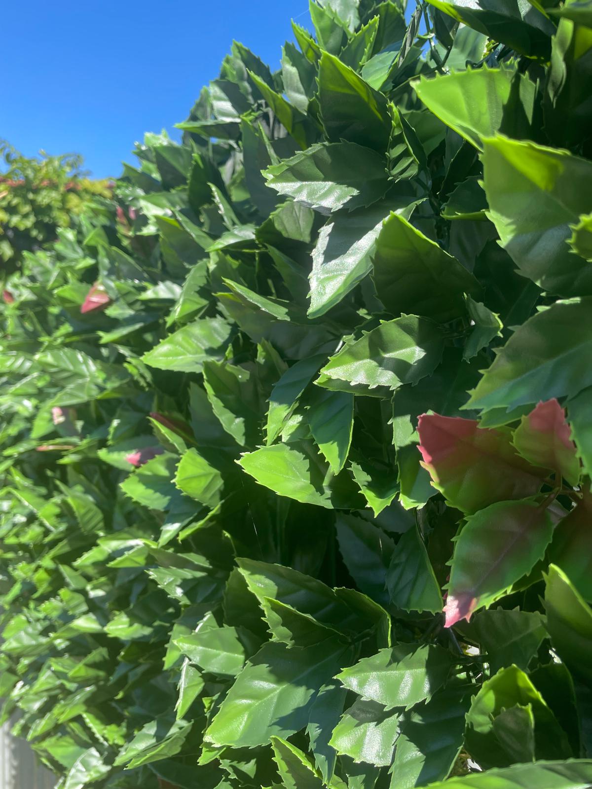 SIEPE ARTIFICIALE PHOTINIA
