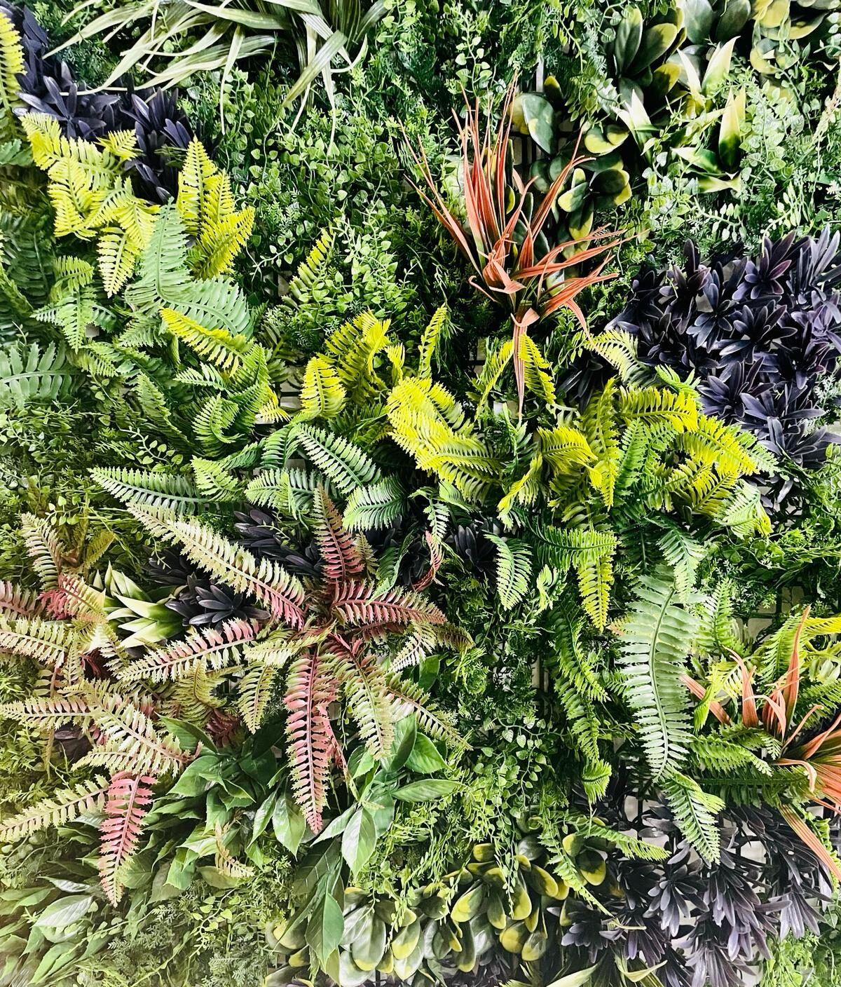 VERDE VERTICALE MIX EXOTIC