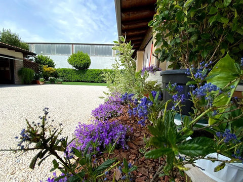 Alcuni dei nostri lavori gallery image