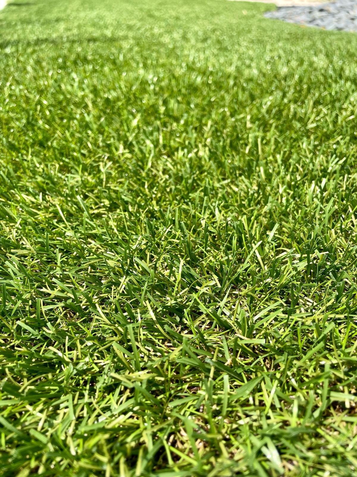 ERBA SINTETICA GREENLAND TOP 48 mm