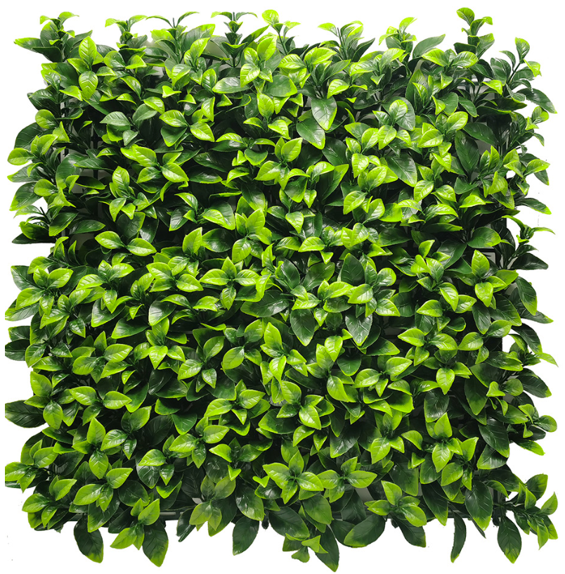 SIEPE ARTIFICIALE PITOSFORO