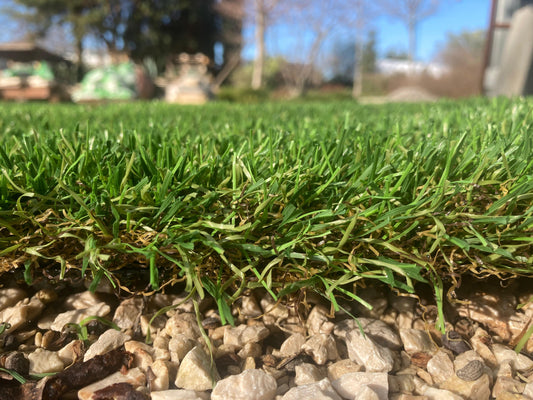 ERBA SINTETICA GREENLAND TOP 45